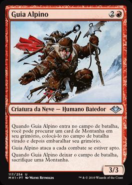 Guia Alpino / Alpine Guide