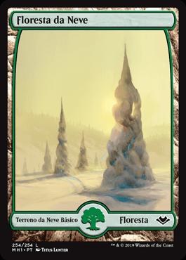 Floresta da Neve / Snow-Covered Forest