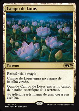 Campo de Lótus / Lotus Field