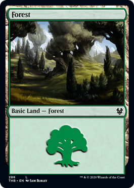 Floresta (#286) / Forest (#286)