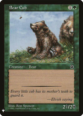 Filhote de Urso / Bear Cub