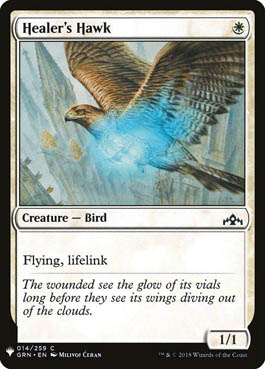 Falcão do Curandeiro / Healers Hawk