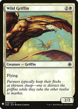 Grifo Selvagem / Wild Griffin