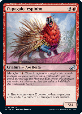 Papagaio-espinho / Porcuparrot
