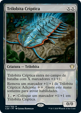 Trilobita Críptica / Cryptic Trilobite