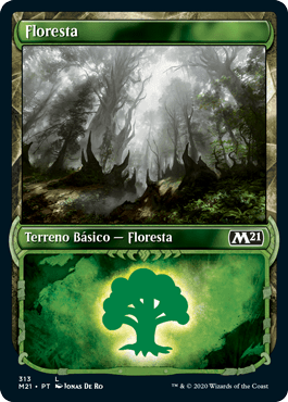 Floresta (#313) / Forest (#313)