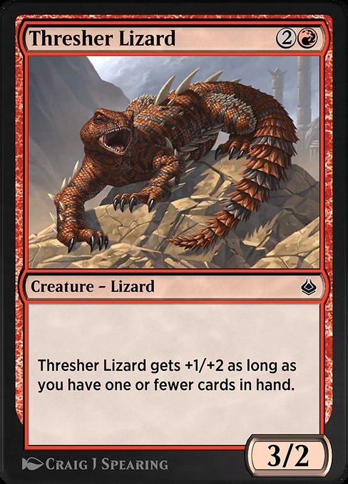 Lagarto-raposo / Thresher Lizard