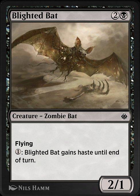 Morcego Ressecado / Blighted Bat