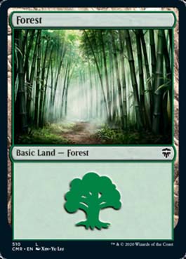 Floresta (#510) / Forest (#510)