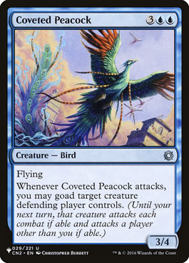 Pavão Cobiçado / Coveted Peacock