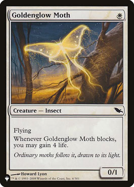 Mariposa da Luz Dourada / Goldenglow Moth