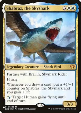 Shabraz, o Tubarão-celeste / Shabraz, the Skyshark