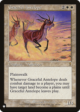Antílope Elegante / Graceful Antelope