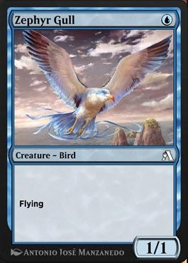 Gaivota Zéfira / Zephyr Gull