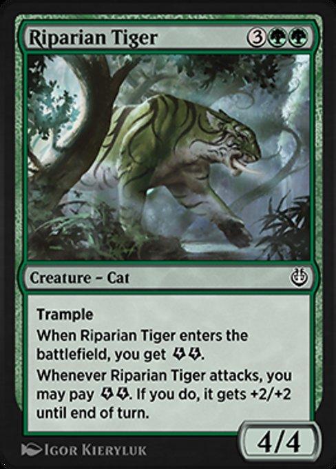 Tigre Ripariano / Riparian Tiger