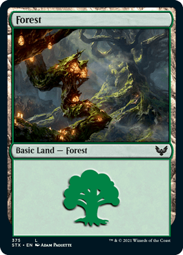 Floresta (#375) / Forest (#375)