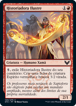 Historiadora Ilustre / Illustrious Historian