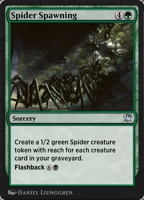 Procriação de Aranha / Spider Spawning