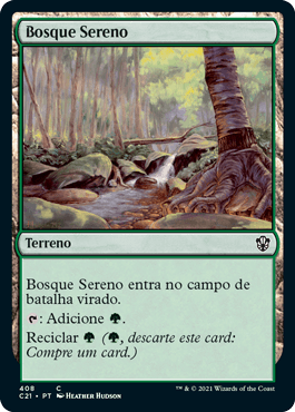 Bosque Sereno / Tranquil Thicket