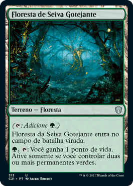 Floresta de Seiva Gotejante / Sapseep Forest