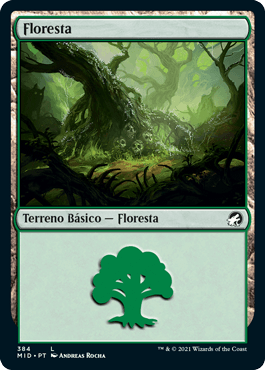 Floresta (#384) / Forest (#384)