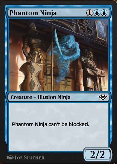 Ninja Fantasma / Phantom Ninja