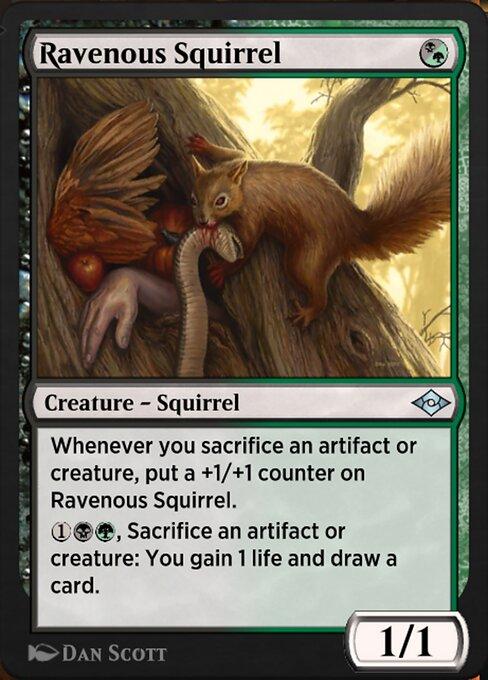 Esquilo Voraz / Ravenous Squirrel