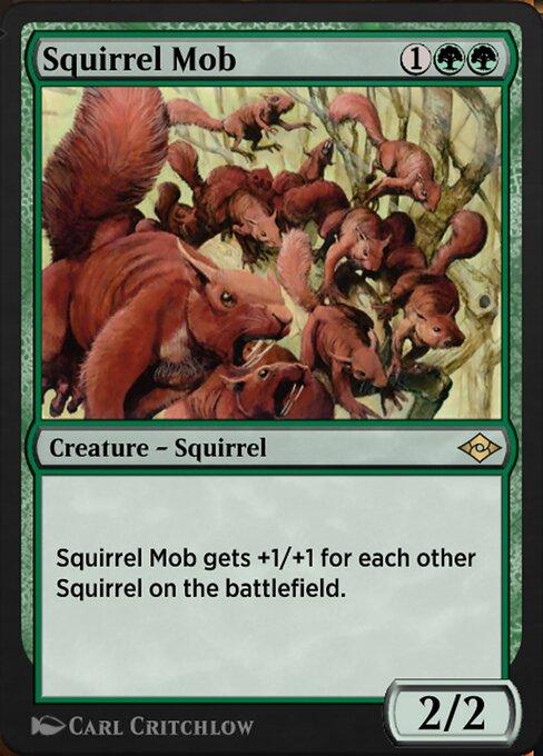 Turba de Esquilos / Squirrel Mob