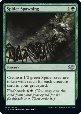 Procriação de Aranha / Spider Spawning