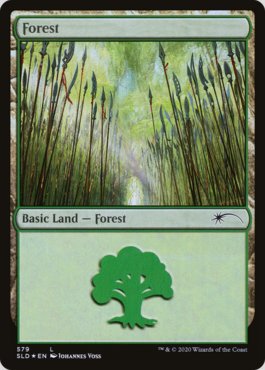 Floresta (#579) / Forest (#579)
