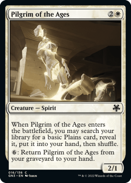 Peregrina das Eras / Pilgrim of the Ages