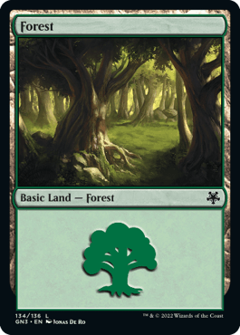 Floresta (#134) / Forest (#134)