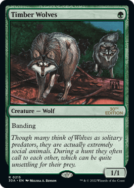 Lobos da Floresta / Timber Wolves