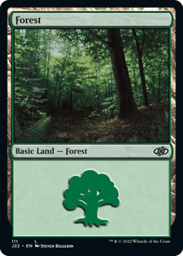 Floresta (#111) / Forest (#111)