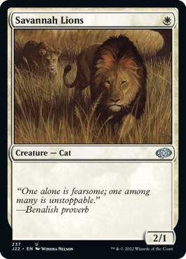 Leões da Savana / Savannah Lions
