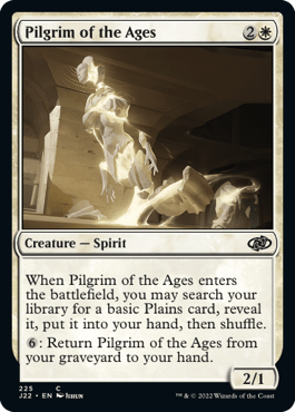 Peregrina das Eras / Pilgrim of the Ages