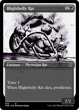 Rato Barriga-de-praga / Blightbelly Rat