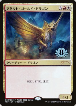 Dragão de Ouro Adulto / Adult Gold Dragon