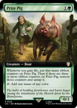 Porco de Competição / Prize Pig