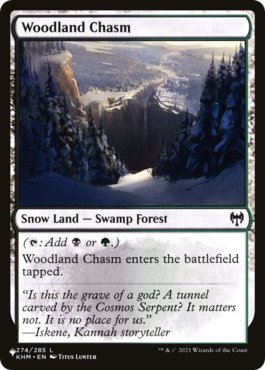 Abismo da Floresta / Woodland Chasm