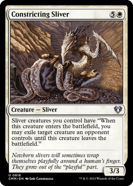 Fractius Constritor / Constricting Sliver