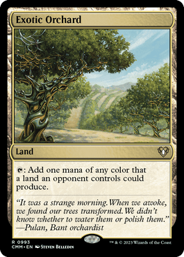 Pomar Exótico / Exotic Orchard