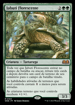 Jabuti Florescente / Blossoming Tortoise