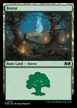 Floresta (#276) / Forest (#276)