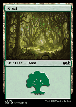 Floresta (#275) / Forest (#275)