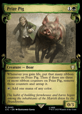 Porco de Competição / Prize Pig