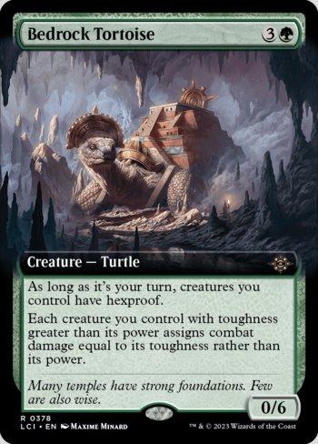 Tartaruga da Rocha Matriz / Bedrock Tortoise