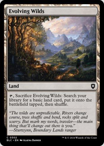Terras em Desenvolvimento / Evolving Wilds