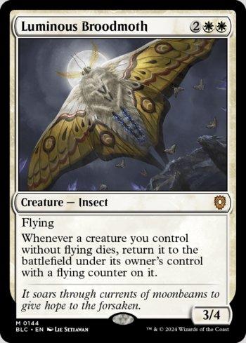 Mariposa-parideira Luminosa / Luminous Broodmoth