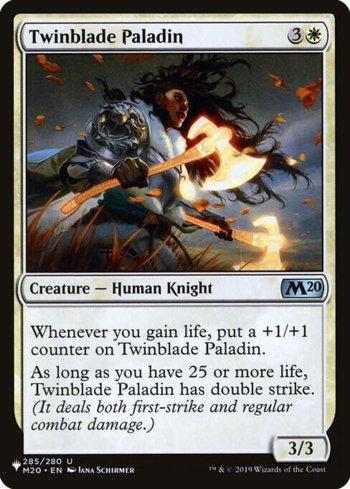 Paladina da Lâmina Dupla / Twinblade Paladin